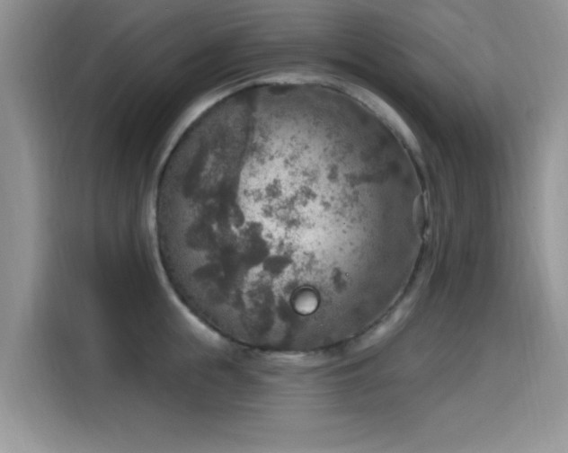 X0000115610855200911171147