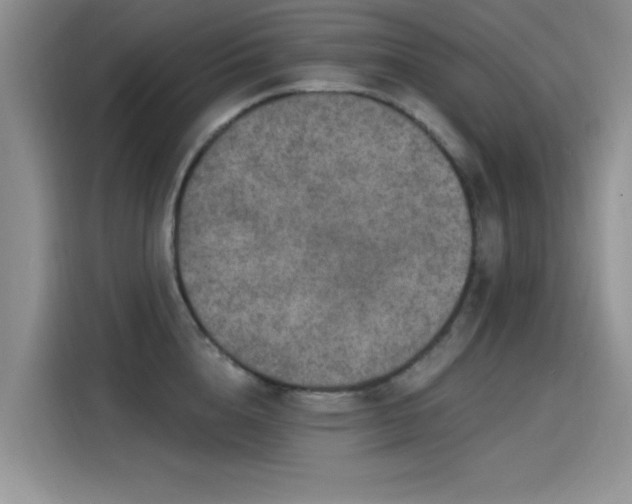 X0000115610856200911171147