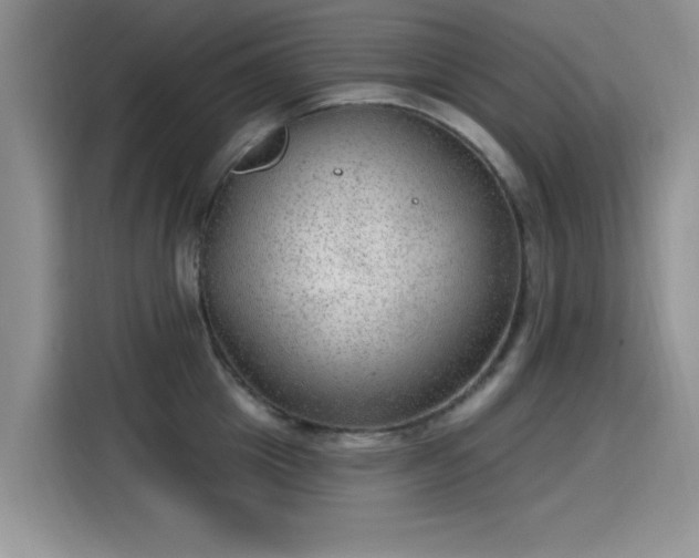 X0000115610857200911171147