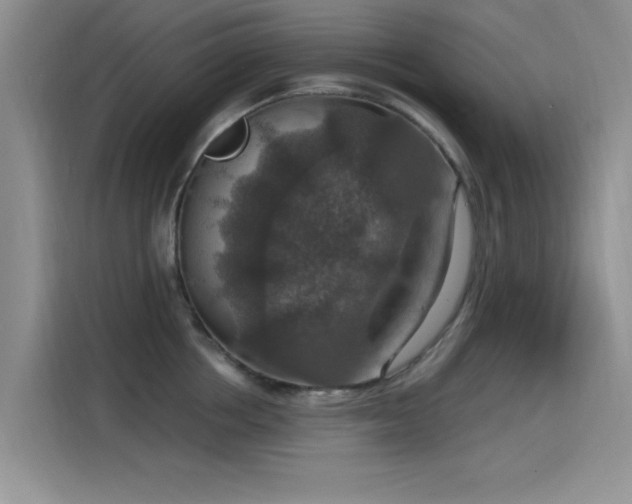 X0000115610858200911171147