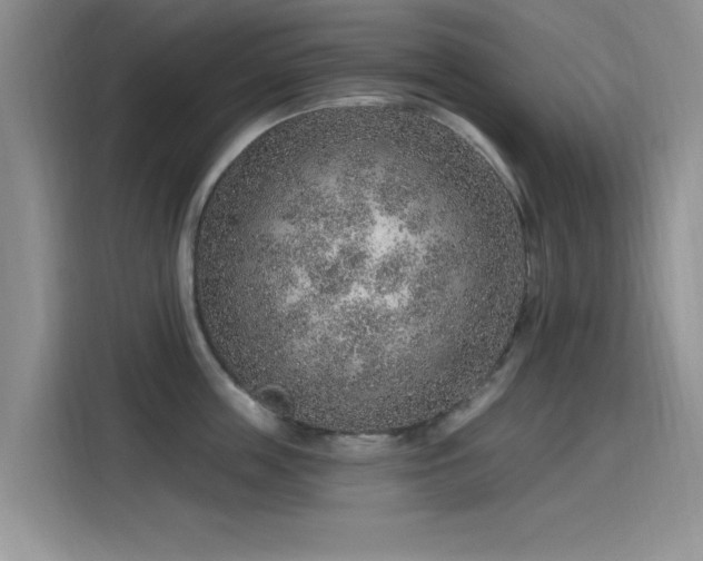 X0000115610859200911171147