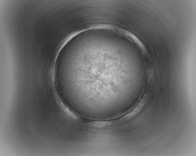 X0000115610860200911171147