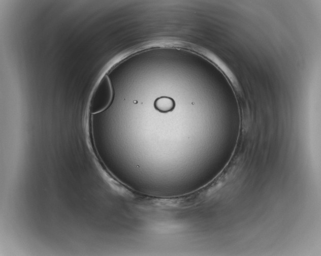 X0000115610861200911171147