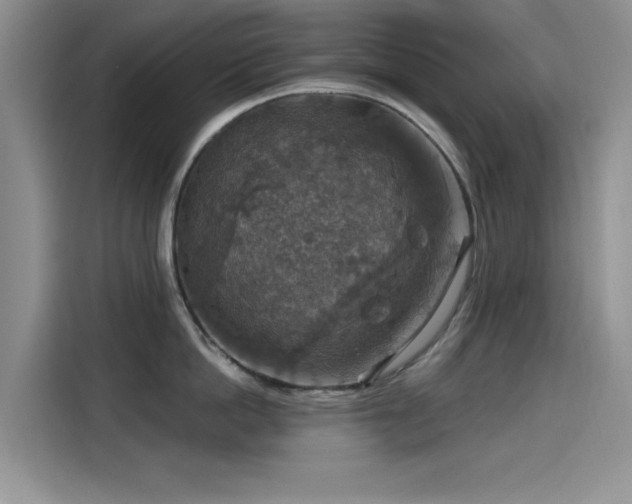 X0000115610862200911171147