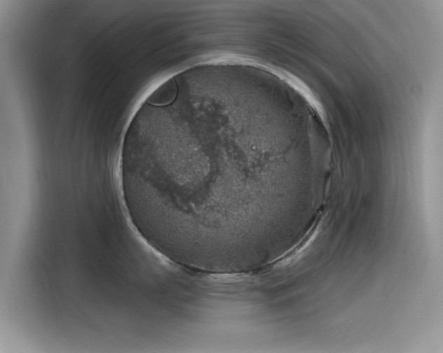 X0000115610863200911171147