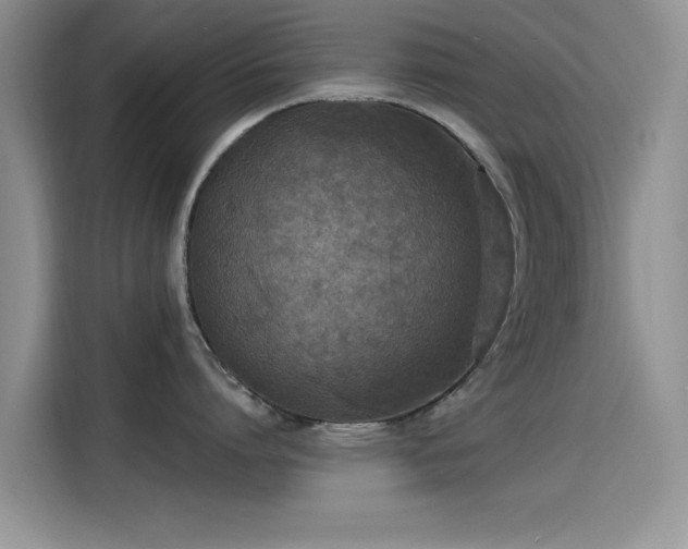 X0000115610864200911171147