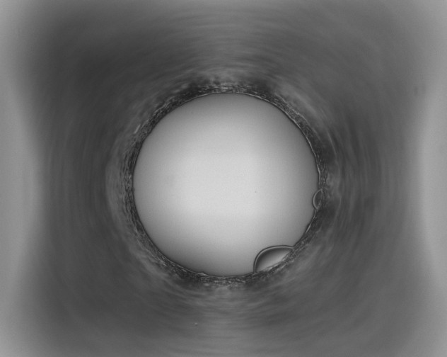 X0000115610865200911171146