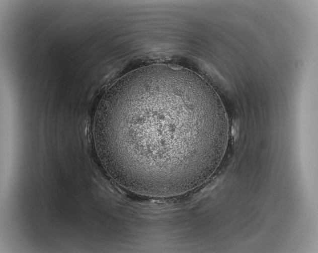 X0000115610867200911171146