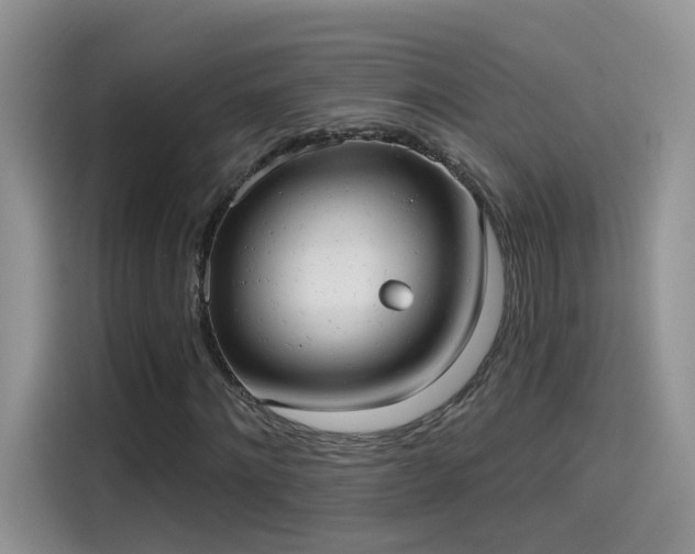 X0000115610868200911171146
