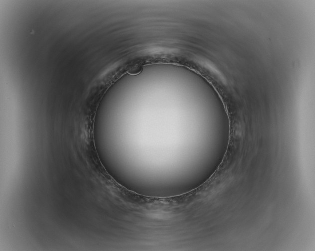 X0000115610869200911171146