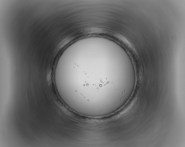 X0000115610873200911171146