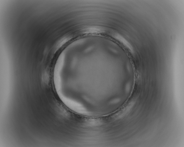 X0000115610874200911171146
