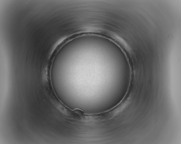 X0000115610875200911171146