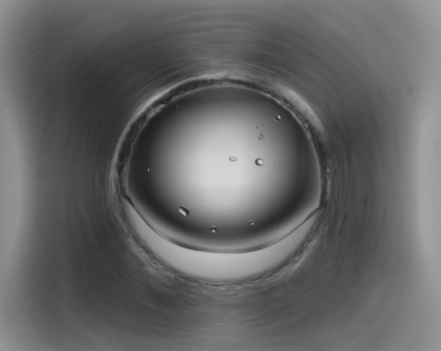 X0000115610876200911171146