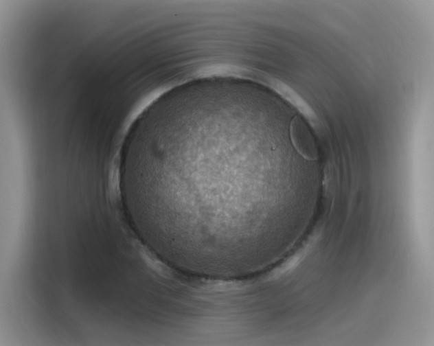 X0000115610877200911171146