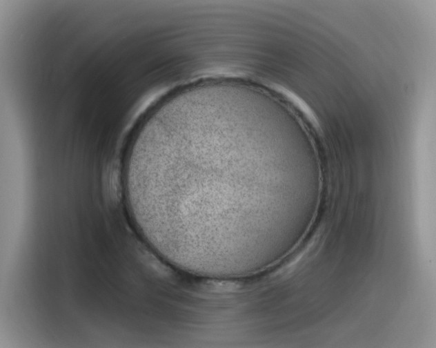 X0000115610878200911171146