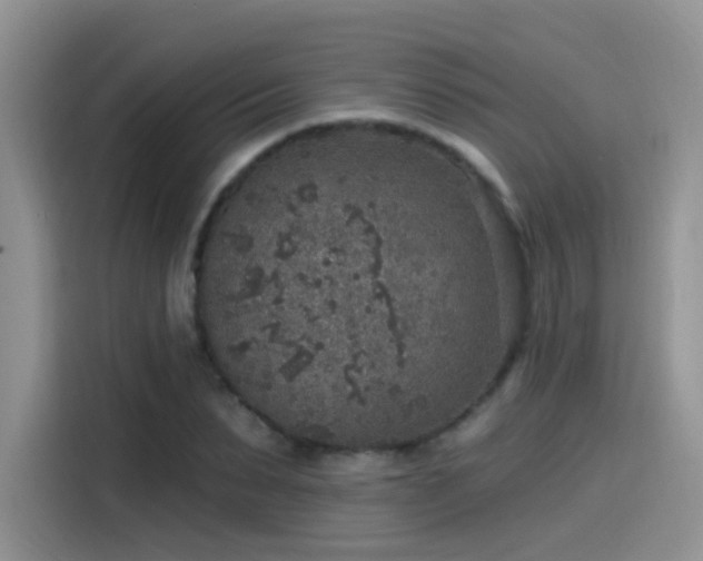 X0000115610879200911171146