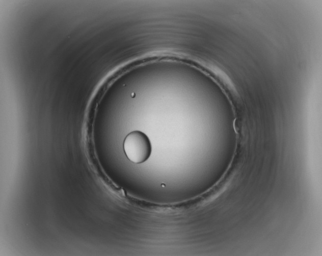X0000115610880200911171146