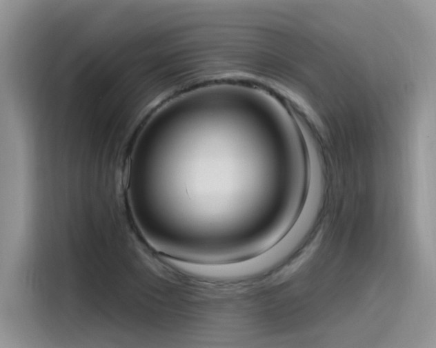 X0000115610881200911171146