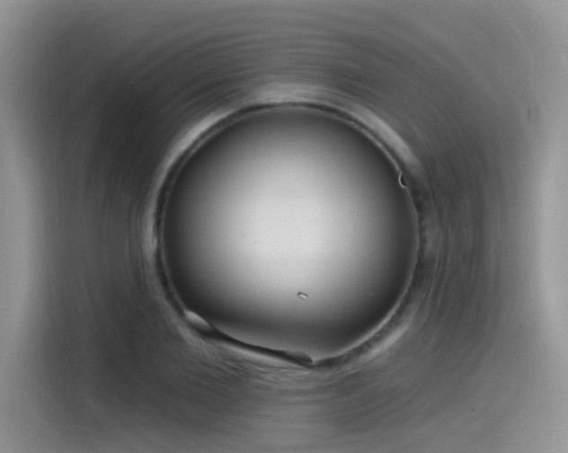 X0000115610885200911171146