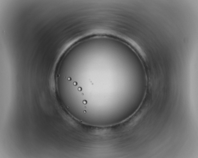 X0000115610887200911171146