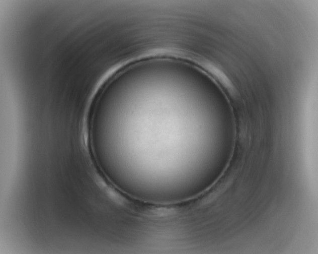 X0000115610888200911171146
