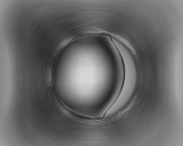 X0000115610889200911171146