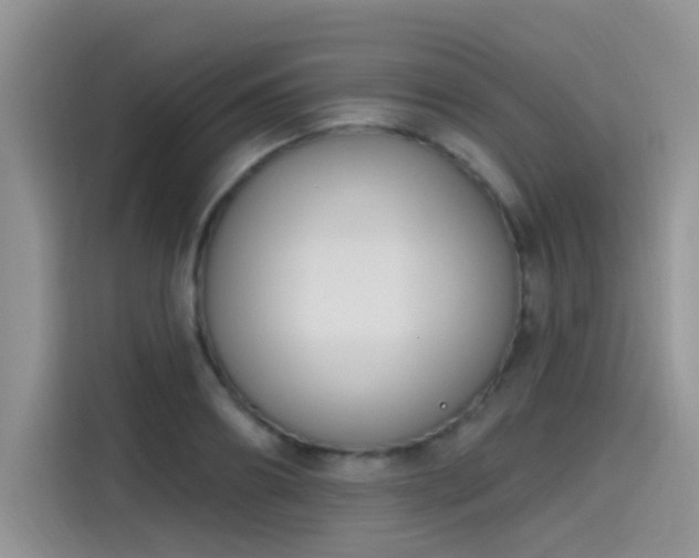 X0000115610890200911171146