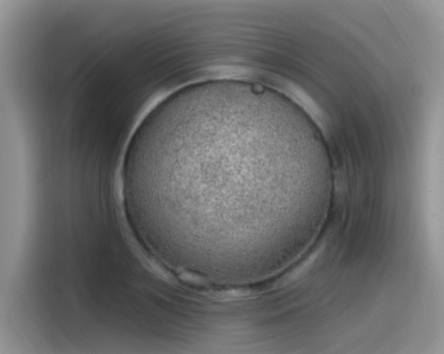 X0000115610891200911171146