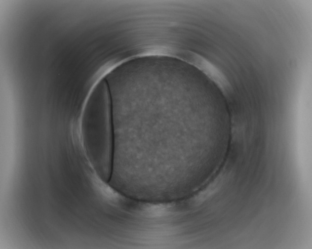 X0000115610892200911171146