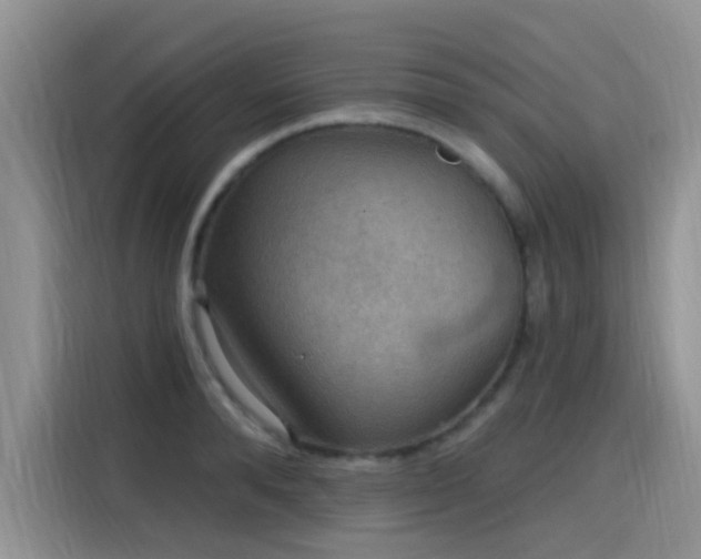 X0000115610896200911171146