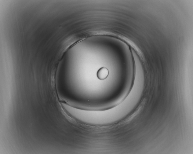 X0000115610897200911171146
