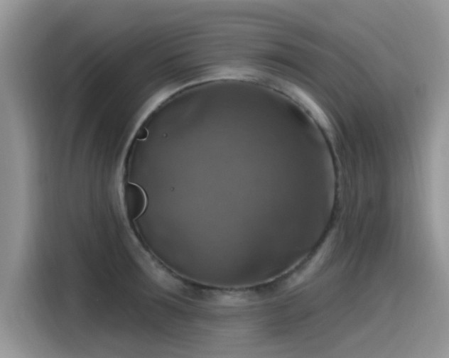 X0000115610899200911171146