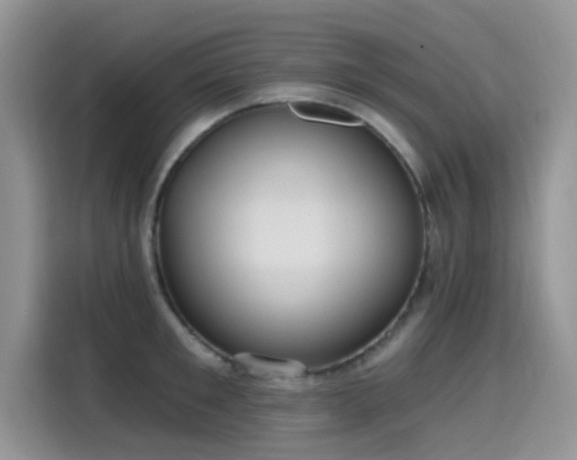 X0000115610901200911171146