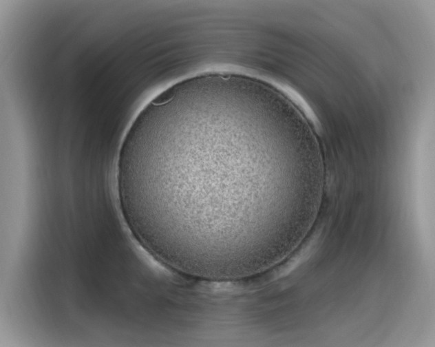 X0000115610903200911171146