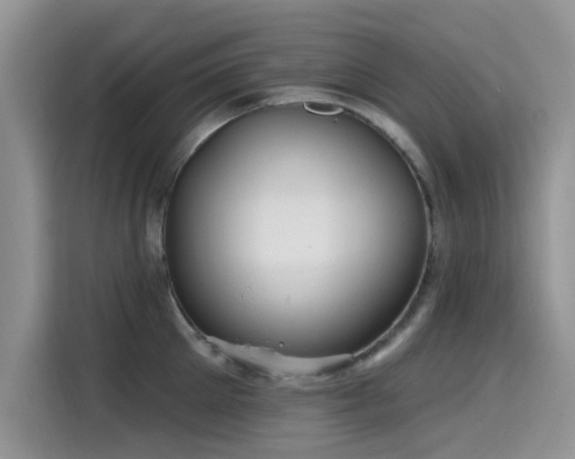 X0000115610905200911171146