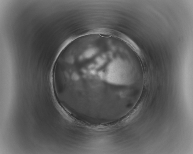 X0000115610907200911171146