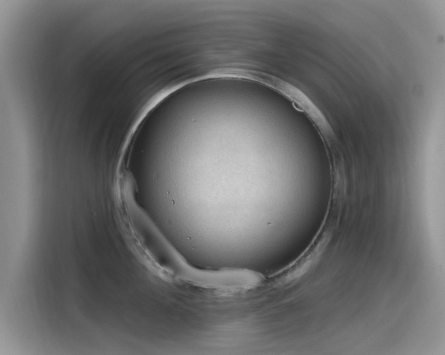 X0000115610908200911171146