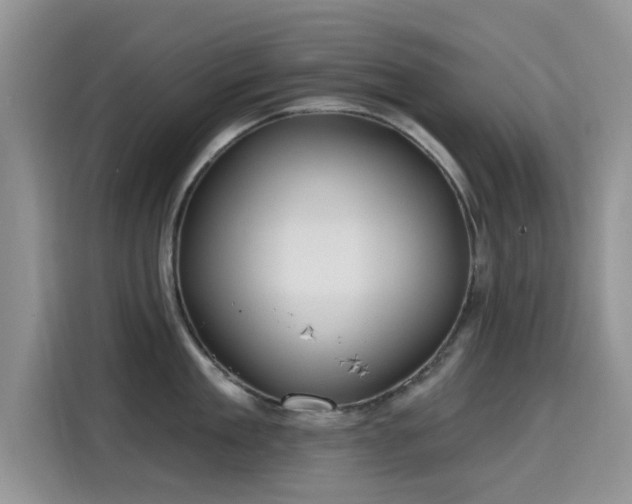 X0000115610909200911171146