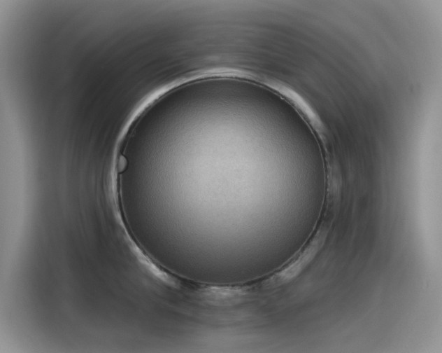 X0000115610910200911171146
