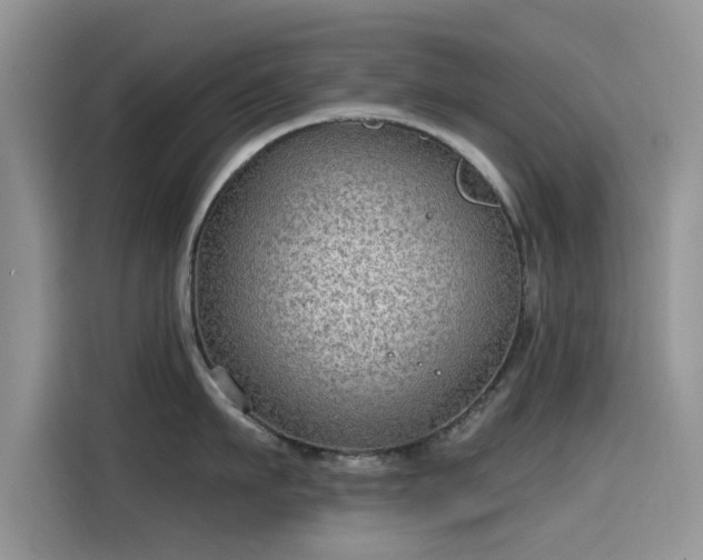 X0000115610911200911171146