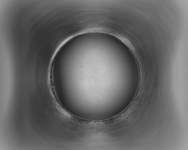 X0000115610912200911171146