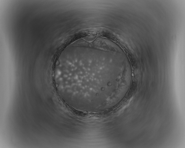 X0000115610913200911171145