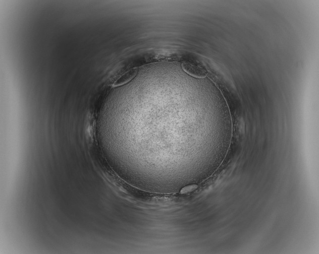 X0000115610914200911171145