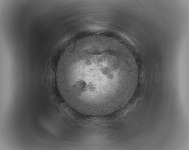 X0000115610917200911171145