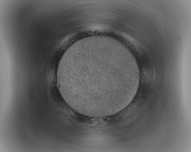 X0000115610918200911171145