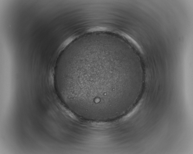 X0000115610921200911171145