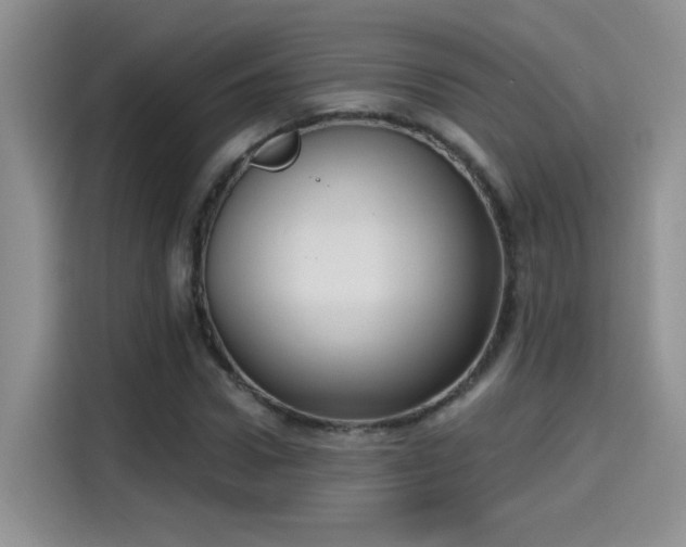 X0000115610922200911171145