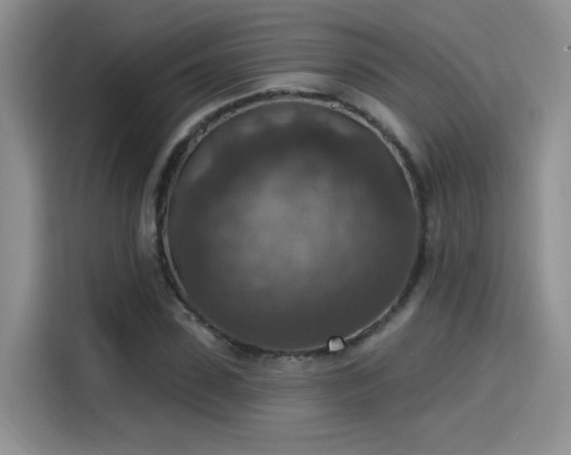 X0000115610923200911171145