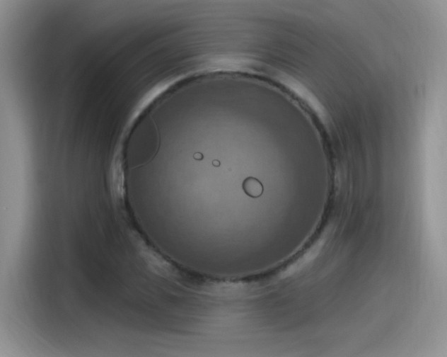 X0000115610925200911171145
